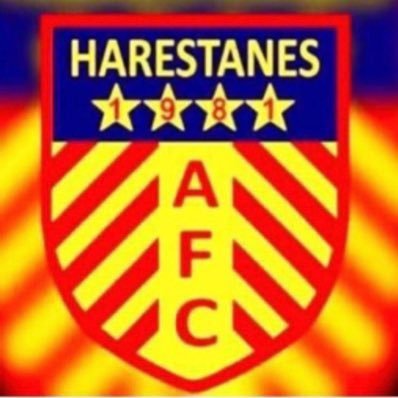 Harestanes Amateur Academy 2009s playing in the Central Scotland league .
#MontheHares