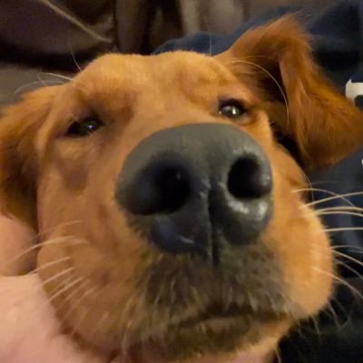 lilygm01's profile picture. 