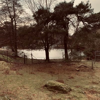 baran_shanaz's profile picture. پادشاهی خواه عاشق خاندان پهلوی و خسته و خشمگین که تویتر هر چند روز یکبار اکانت منو می بنده 😢😡😡😡