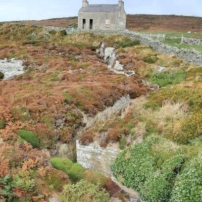 netzerocitizen's profile picture. Jon Curtis - Committed to the NetZero Cause