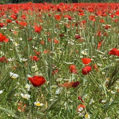 bimbam34's profile picture. 