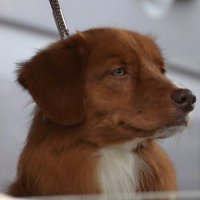 JPShinn (@jpshinn) 's Twitter Profile Photo JPShinn (@jpshinn) 's Twitter Profile Photo