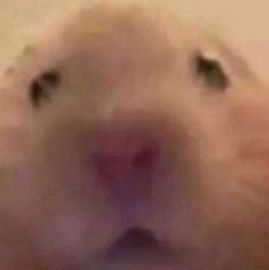 SoobservoBBB22's profile picture. 🌪️