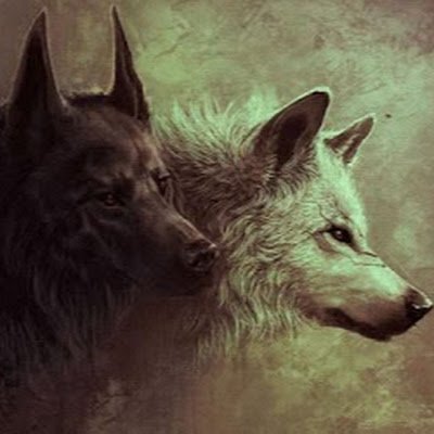 LUBO616's profile picture. 