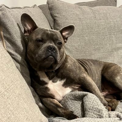 VB1525's profile picture. Running, reading, yoga, learning. All opinions my own.