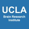 UCLA_BRI's profile picture. The BRI is the umbrella organization for neurosciences at UCLA.