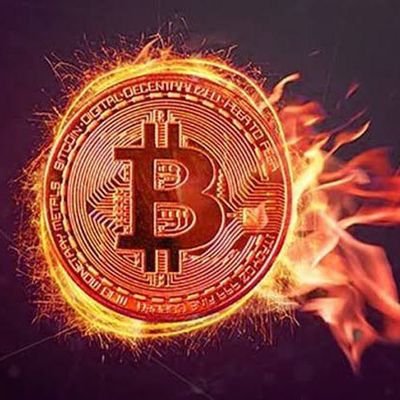 HarrowCryptos's profile picture. 
