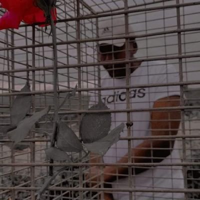 Doveted1's profile picture. Fu*k a handout why give a man a fish 👽
Mamelodi sundowns FC 👆 and Liverpool FC ⚽🥅