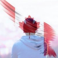 C. Guy (@redcanadianguy) 's Twitter Profile