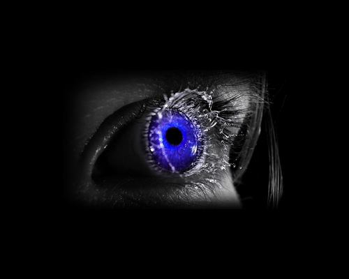 optiekjanssen's profile picture. opticien contactlensspecialist en ford mustang liefhebber