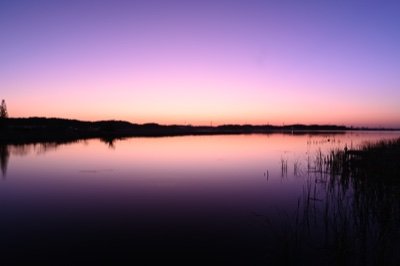 skttr_l3's profile picture. 