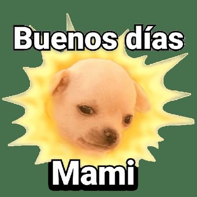 FeAguilera10's profile picture. 