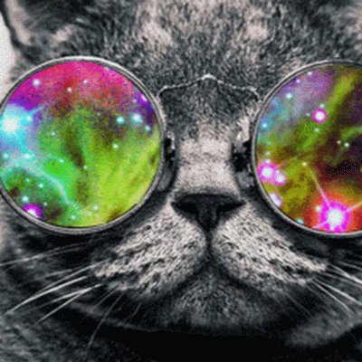 EDav22441115's profile picture. 