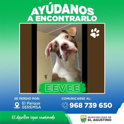 Kimec20's profile picture. Psicóloga, cinefila🌱🌸🌻🌈🇵🇪 Amo los tatuajes, el teatro, conciertos y sobre todo estar con la familia 🤗