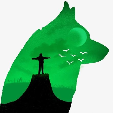 hohlenuss44's profile picture. 