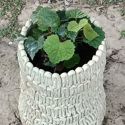 hdkdndbisbz's profile picture. 