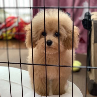 プログラミング初心者です! アルバイトに嫌気がさしてプログラミング始めました!一緒にモチベ高めていける1人探してます!無言フォロー失礼します🙇♂️勧誘お断り