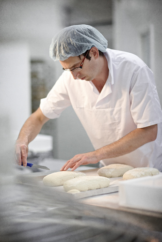 tortoisebakery's profile picture. The world's slowest baker