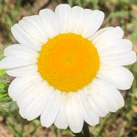 hamemi30 (@hamemi30) 's Twitter Profile