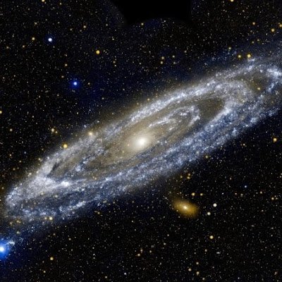 rsprattt's profile picture. 