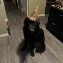 Chris Bayne - @Coolpapa_20 - Twitter