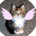 Phoebe Purrburger (@phoebepurr) Twitter profile photo Phoebe Purrburger (@phoebepurr) Twitter profile photo