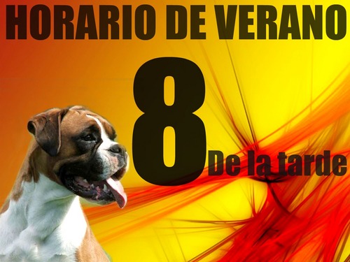 Cafe Bar Boxer Profile