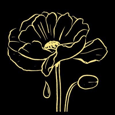 rosymaidenhairs's profile picture. specializing in rare & magical flower tears for ascension, healing, and enlightenment 🌿💧✨ professional tarot reader & spiritual guide for hire