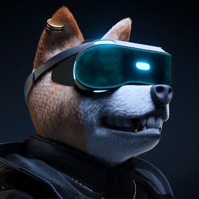 nft_shibaverse Profile Picture