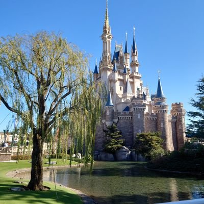 azuki2022nana's profile picture. 楽しく自由に生きたいなぁと思う近頃です(^^)