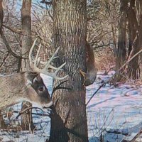 Iowa Hunter (@jb1401777) 's Twitter Profile