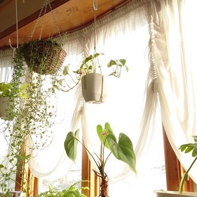 aoaoruna2510's profile picture. カメラ初心者 食にも興味あります。