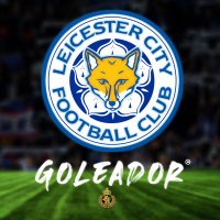 Leicester City 🏴󠁧󠁢󠁥󠁮󠁧󠁿 (@leicester_go) 's Twitter Profile Photo