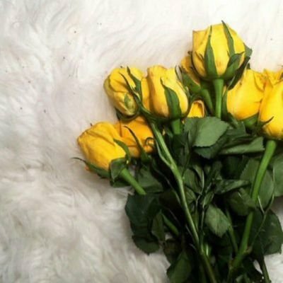 L_J339's profile picture. ﴿إِنَّ مَعِىَ رَبِّى سَيَهْدِينِ ﴾