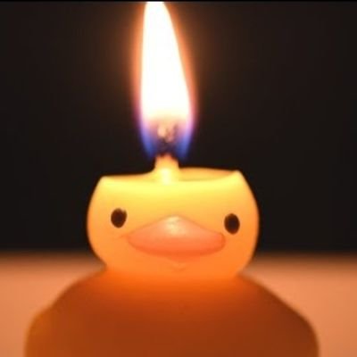 fruitsnakes's profile picture. woof