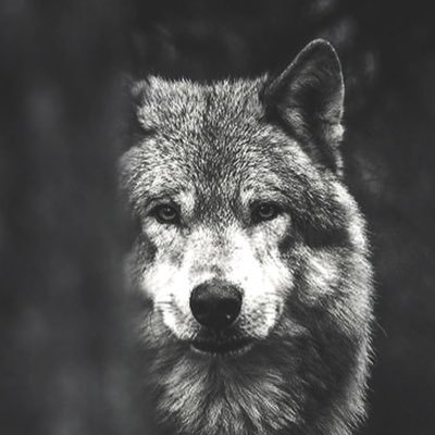 Hard To Killさんのプロフィール画像