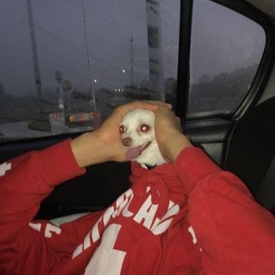 compurobot1's profile picture. I'm bored and I need to improve my english writing. I know Twitter isn't the best place for that.

Computer Engineering.