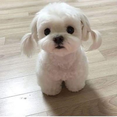 heyitslormae's profile picture. 😳😊
Angelika Kaamino