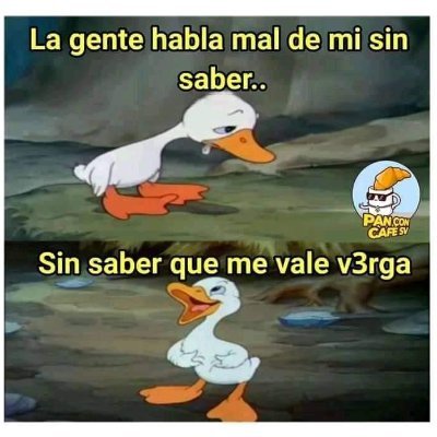 Cachonda_69's profile picture. El sexo es parte de la naturaleza. Y yo estoy en armonía con ella