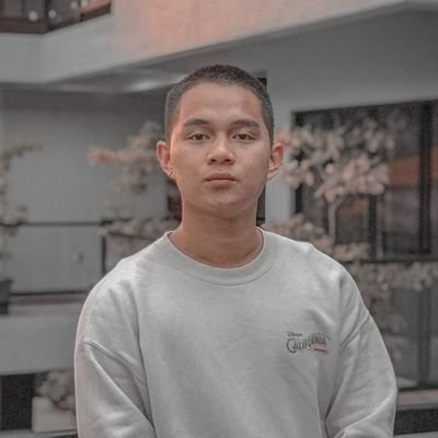 ruiestole1's profile picture. 🦉RUI JUNMAR ESTOLE