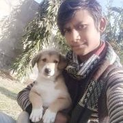 Rohit Kumar (@rohitku16204776) 's Twitter Profile