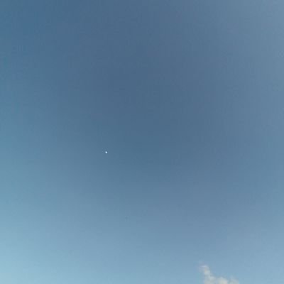 mar20jo's profile picture. 