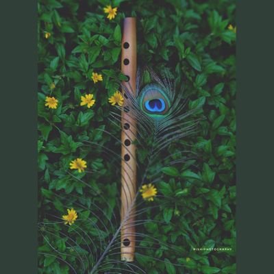 SairamRavi04's profile picture. A Human Being