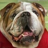 D Bobbins (@fsbull) 's Twitter Profile