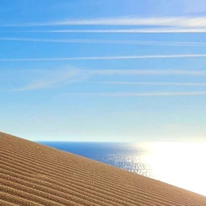 Alper_x_'s profile picture. 