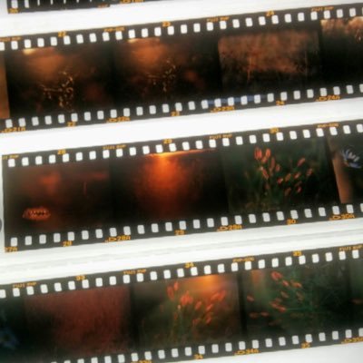 1lightsecond's profile picture. 日々のあれこれをつぶやきます。 猫様の僕(執事？下僕？) 写真 ロードバイク グラベルロード MTB e-bike D.I.Y