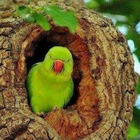 Hugo Hernan Posada Saldarriaga (@hugohernanposa2) 's Twitter Profile
