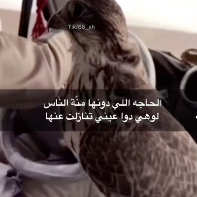 khald31054492's profile picture. ماراح من دنيا الفنا بألف طقاق