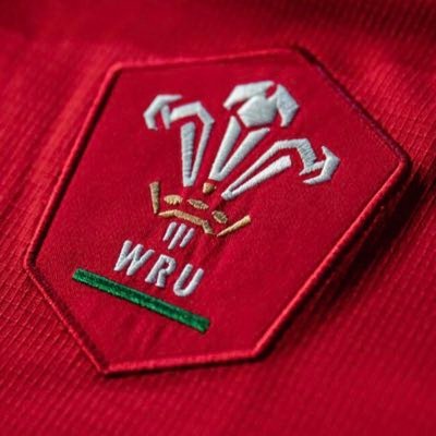 Wales🏴󠁧󠁢󠁷󠁬󠁳󠁿, Racing 🏇, Rugby 🏉 and My Family 👩‍❤️‍💋‍👨: these are a few of my favourite things. Oi/Butt. Pleidiol wyf i’m Gwlad 🏴󠁧󠁢󠁷󠁬󠁳󠁿