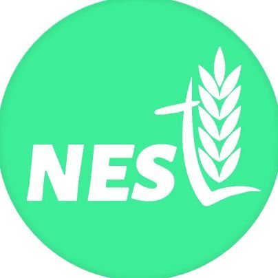 n_e_s_t18's profile picture. NEST
Sustainable Products| B2B & B2C | Designing & Manufacturing|
Aiming towards a better world.🌾🌎